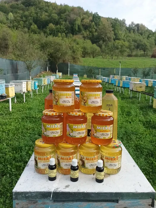 Miere de albine Salcâm, Polifloră, Tei. Livrare la domiciliu!
