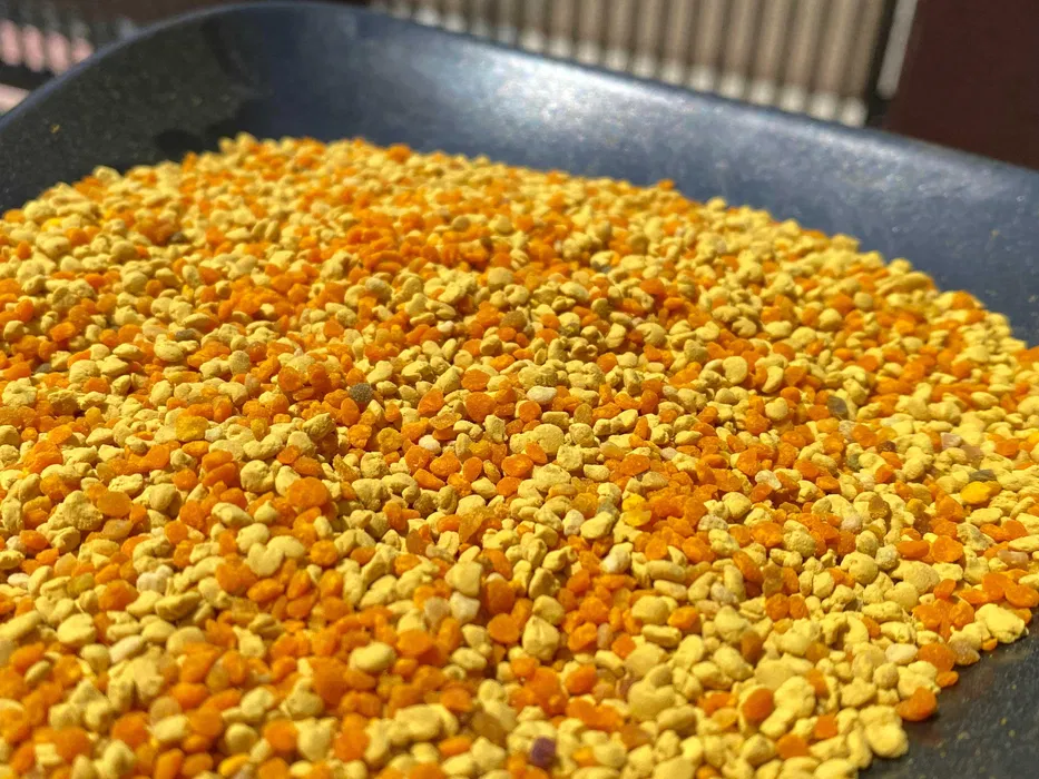 Propolis, Polen Crud/Uscat, EN-GROS sau EN-DETAIL , PĂSTURĂ crudă