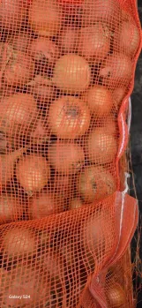 Vand ceapa galbena de Olanda 3