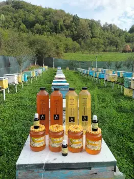 Miere de albine Salcâm, Polifloră, Tei. Livrare la domiciliu! 1