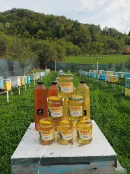 Miere de albine Salcâm, Polifloră, Tei. Livrare la domiciliu! 2