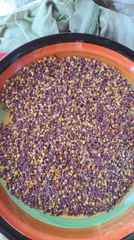 Propolis, Polen Crud/Uscat, EN-GROS sau EN-DETAIL , PĂSTURĂ crudă 1