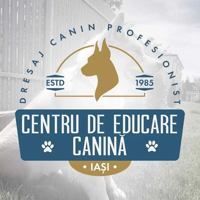 Dresaj canin profesionist / Pensiune canină - dresaj caini